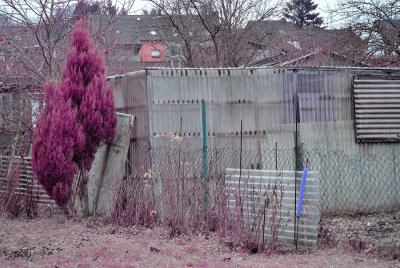 DSC_0689.jpg