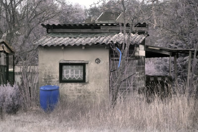 DSC_1478.jpg