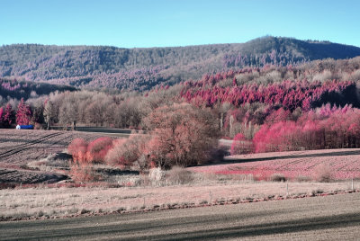 DSC_3393.jpg