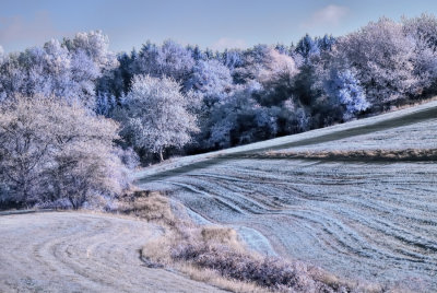 DSC_5333.jpg