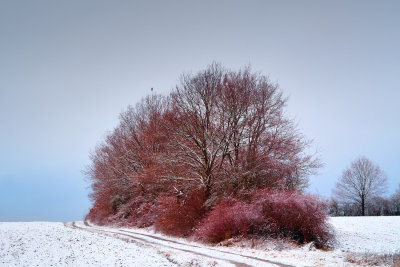 Infrared in the snow