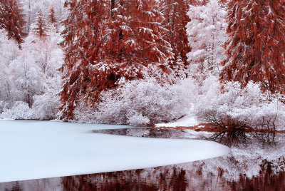 DSC_8041_Red.jpg