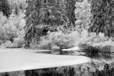 DSC_8041_SW.jpg