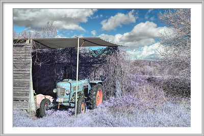 DSC_7249_Frame.jpg