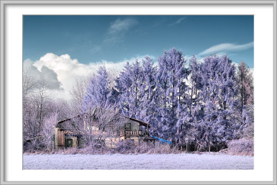 DSC_7464_Frame.jpg
