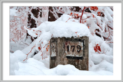 DSC_8389.jpg
