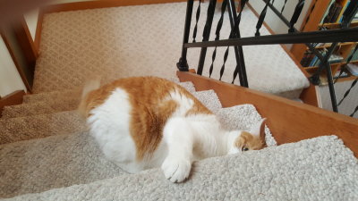 20190117_095952.jpg