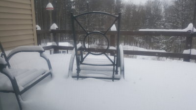 20190120_132039.jpg