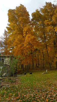 20181102_163514_001-edit.jpg