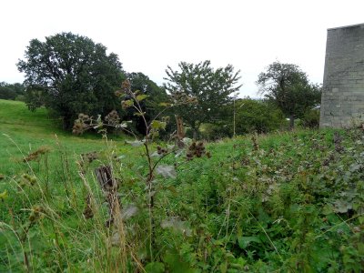 11_enci-wandeling.jpg