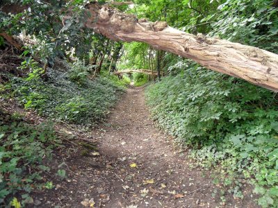 70_enci-wandeling.jpg