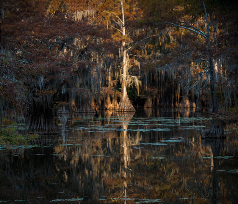 Bright spot_5148.jpg
