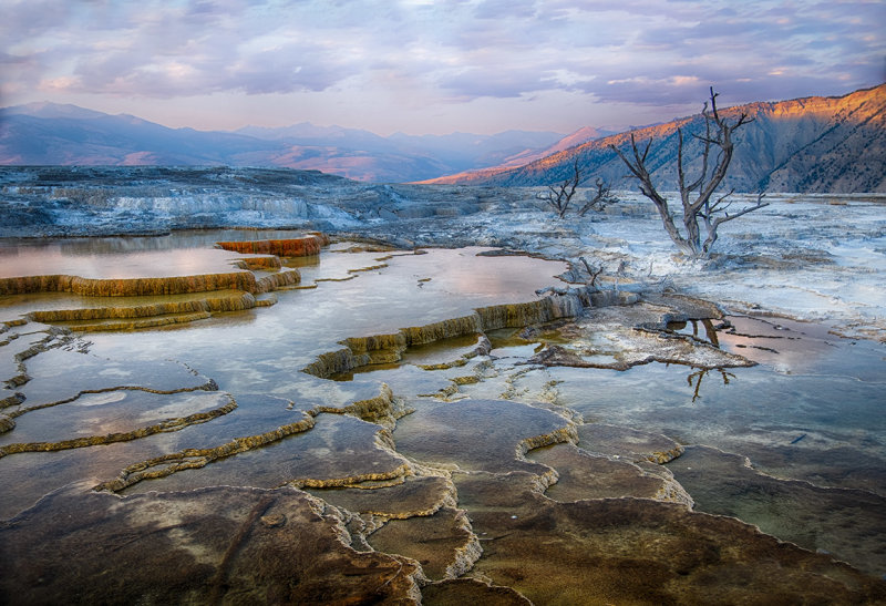 Mammoth Hot Springs_F0887