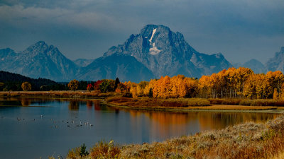 Early Morning Light-Oxbow Bend, Great Tetons NP_2967.jpg