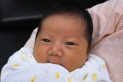 IMG02226.jpg