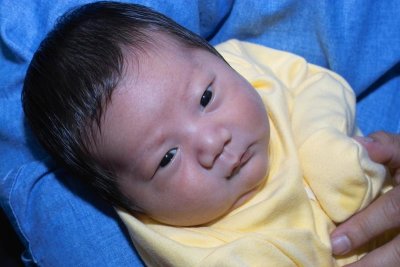 IMG02231.jpg