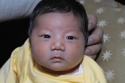 IMG02240.jpg