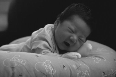 IMG02361.jpg