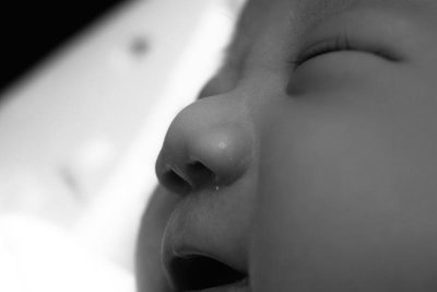 IMG02506.jpg