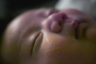 IMG02624.jpg
