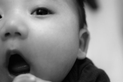 IMG03074.jpg