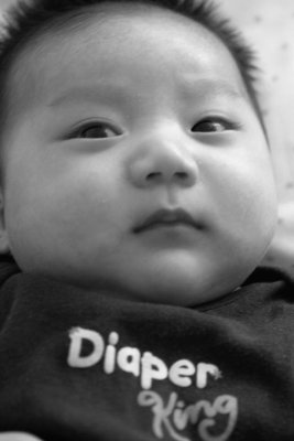 IMG03077.jpg