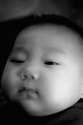 IMG05106.jpg