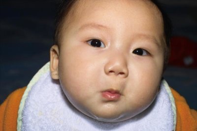 IMG05828.jpg