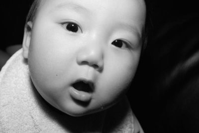 IMG05996.jpg