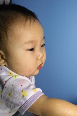 IMG06005.jpg