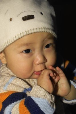 IMG06008.jpg