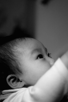 IMG06118.jpg