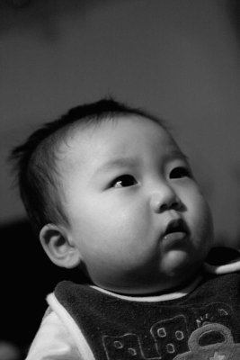 IMG06119.jpg