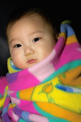 IMG06162.jpg