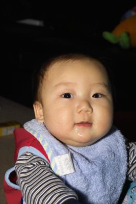 IMG06173.jpg