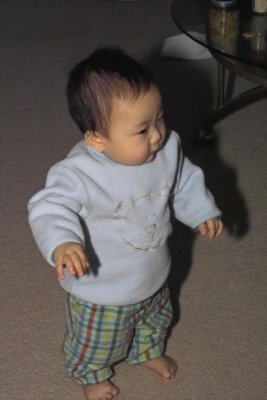 IMG06203.jpg