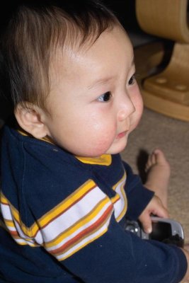 IMG06212.jpg