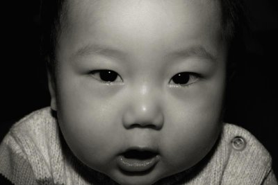 IMG06232.jpg