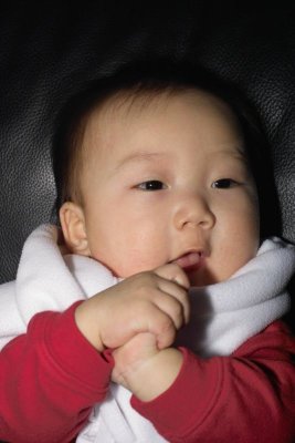 IMG06413.jpg