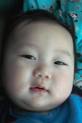 IMG06740s.jpg