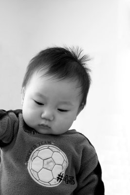 IMG06760s.jpg