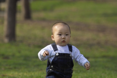 IMG07453.jpg