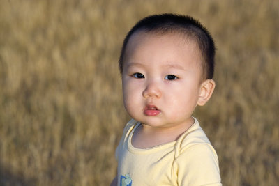 IMG00476_ICCFix_sm.jpg