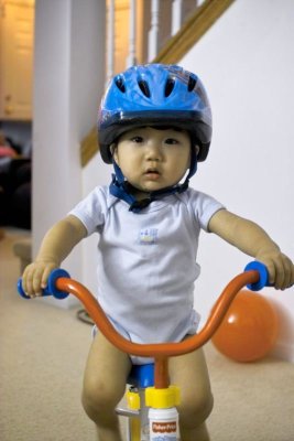 IMG02073_half.jpg