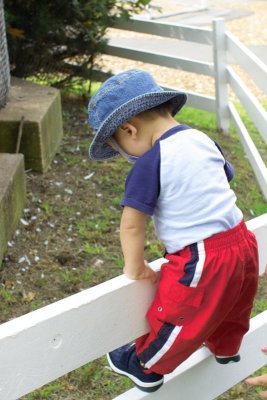 IMG02672.jpg