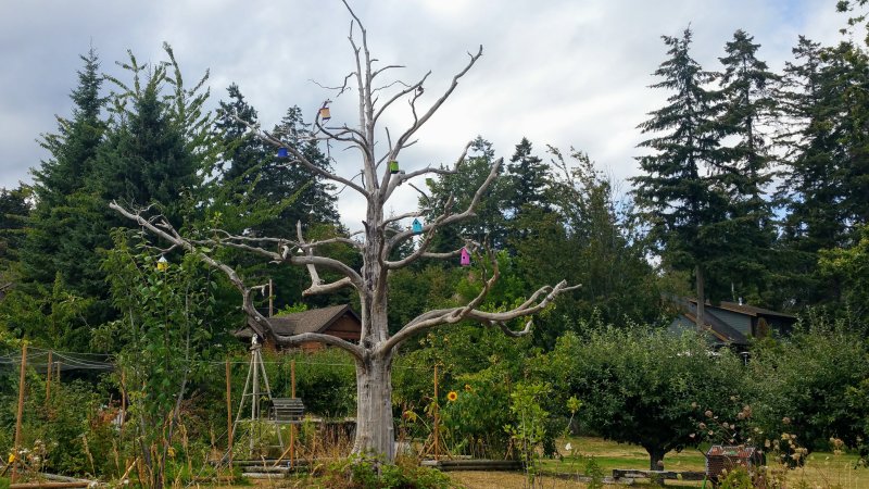 Comox 20180829_135052.jpg