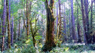 2018 Rosewall Creek0829_151538.jpg