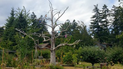 Comox 20180829_135052.jpg