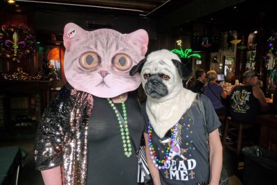 Cats and Dogs at Good Friends Bar