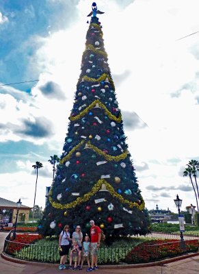 Big Tree at Epcot